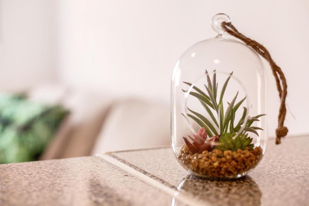 Apartamento Dayely Corralejo Dış mekan fotoğraf